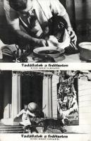 cca 1979 előtti ,,Vadállatok a fedélzeten" című szovjet film jelenetei és szereplői, 19 db vint...