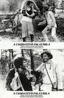 cca 1989 előtti ,,Csodatevő palatábla" című szovjet film jelenetei és szereplői, 11 db vintage produkciós filmfotó (vitrinfotó, lobbyfotó) ezüst zselatinos fotópapíron, a használatból eredő (esetleges) kisebb hibákkal, 18x24 cm