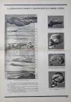 Az ember származása. Szemléltető tankönyv-album. Összeállította: M. Sz. Pliszeckij. Sajtó alá rendez...