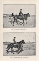 Tepper-Laski, K[urt] von:
Rennreiten. Praktische Winke für Rennreiter und Manager. Zweite, verbesse...