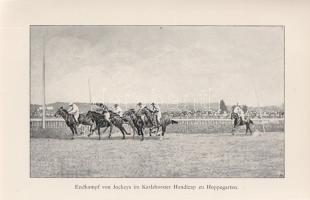 Tepper-Laski, K[urt] von:
Rennreiten. Praktische Winke für Rennreiter und Manager. Zweite, verbesse...