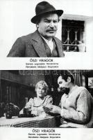 cca 1989 előtti ,,Őszi virágok" című jugoszláv film jelenetei és szereplői, 8 db vintage produk...