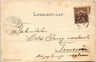 1900 M. kir. Államvasutak gépgyára Budapesten. Első erdélyi bányavasút (Vajdahunyad-Gyalár helyiérde...