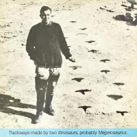 C. Newman - Trackways Made By Two Dinosaurs, Probably Megalosaurus. Vinyl, LP, Theater Am Turm Edition - TAT 83/01, VG++