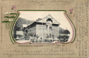 Borosznó spa Lajos cottage litho (EK)