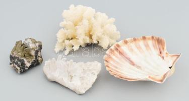 4 darab kristálytelep, korall, ásvány
