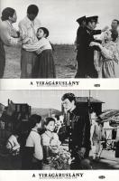 cca 1989 előtti ,,A virágáruslány" című koreai film jelenetei és szereplői, 10 db vintage produkciós filmfotó (vitrinfotó, lobbyfotó) ezüst zselatinos fotópapíron, a használatból eredő (esetleges) kisebb hibákkal, 18x24 cm