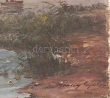 Méray Gyula (?-?): Vitorlások a Balatonon. Olaj, vászon, jelzett, kissé sérült, 40×50 cm