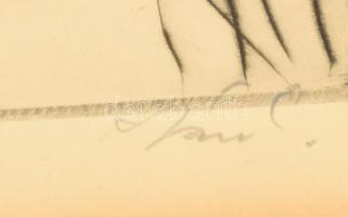 Szász Endre (1926-2003): Edmond Dantes, rézkarc, papír, jelzett, paszpartuban, 34×29,5 cm