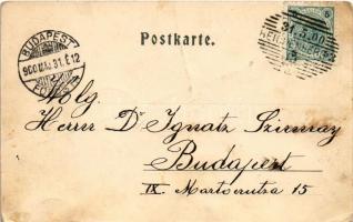 1900 Liberec, Reichenberg; Theater und Postgebäude / theatre, post office (pinhole)