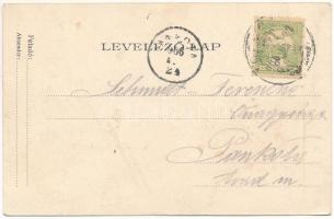 1906 Maroshévíz, Oláhtoplica, Toplita, Toplica; Meleg vízesés és fürdő / waterfall and spa (EK)