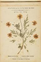 Virágok a szentföldről. 1 sztl. lev.+12 t. Héber, angol, francia és német nyelven. Haránt-alakú fatá...