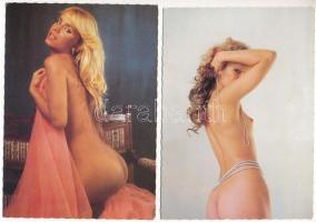 2 db MODERN erotikus képeslap meztelen hölgyekkel, vegyes minőség / 2 modern erotic postcards with nude girls, mixed quality