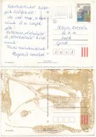 2 db MODERN erotikus képeslap meztelen hölgyekkel, vegyes minőség / 2 modern erotic postcards with n...