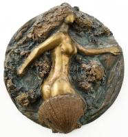 Mészáros Mihály (1930 - 2008): Vénusz. Bronz plakett, jelzett, d: 24 cm