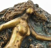Mészáros Mihály (1930 - 2008): Vénusz. Bronz plakett, jelzett, d: 24 cm