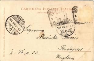 1901 Venezia, Venice; Palazzo Priuli, Fondamenta dell' Osmarin / palace (Rb)