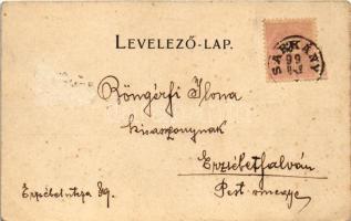 1899 (Vorläufer) Fogaras, Fagaras; Kiss utca, Betlen utca, Megyeház, Ferencz József tér. Thierfeld D...