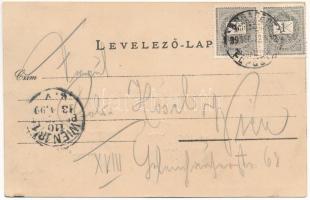 1899 (Vorläufer) Dunaharaszti, Haraszti; Duna part. Kiadja Gerö J. Imre (EB)