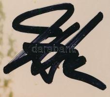 David Hasselhoff (1952- ) amerikai színész (a Knight Rider és Baywatch c. sorozatok főszereplője), é...