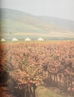 Szelényi Károly: Tokaj és vidéke. Táj változó fényben. DEDIKÁLT! 1981, Corvina. Kiadói egészvászon k...