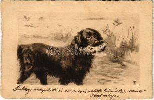 1900 Hunting dog art postcard (fl)