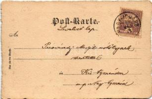 1900 Hunting dog art postcard (fl)