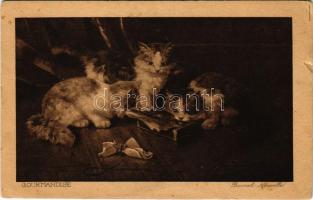 1918 Gourmandise / Cats s: Brunel Neuville (szakadás / tear)