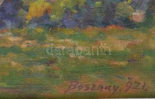 Bosznay István (1868-1944): Tavasz, 1921. Olaj, vászon, jelezve jobbra lent, hátoldalán Bosznay Istv...