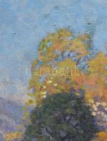 Bosznay István (1868-1944): Tavasz, 1921. Olaj, vászon, jelezve jobbra lent, hátoldalán Bosznay Istv...