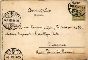 1903 Zagreb, Trg Franje Josipa / square (EK)