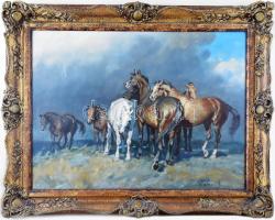 Viski János (1891-1987): Ménes (pihenő lovak). Olaj, vászon, jelzett. Dekoratív fakeretben, 59x79 cm