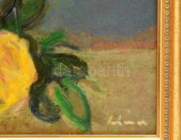 Schéner Mihály (1923-2009): Csendélet. Olaj, farost. Jelzett. 70x50 cm. Dekoratív fakeretben