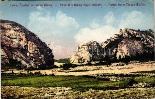 1928 Tátra, Magas-Tátra, Vysoké Tatry; Ciastka pri vieke Bialke / részlet a Bialka folyó mellett. Földes Samu kiadása / Partie beim Flusse Bialka / riverside (EB)