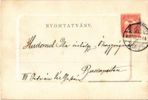 1900 Lady art postcard, swing. Szénásy, litho (fl)