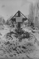 cca 1930 Vegyes régi üvegnegatív tétel, Budai Vár, kirándulások, temető, életképek, családi képek, s...