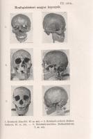 A magyarság őstörténete. Írta: Czeglédy Károly, Deér József, Gunda Béla, Gyóni Mátyás, Kniezsa Istvá...