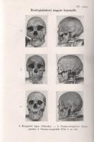 A magyarság őstörténete. Írta: Czeglédy Károly, Deér József, Gunda Béla, Gyóni Mátyás, Kniezsa Istvá...