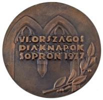 1977. "VI. Országos Diáknapok Sopron 1977 / Sopron 1277-1977" kétoldalas, öntött bronz pla...