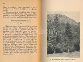Gáspár Gyula: A visszatért Erdély útikönyve. [Bp., én.], Franklin. Fekete-fehér képekkel illusztrált...