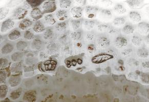 Ezüst (Ag) kávészervírozó szett. Pikkelyes felületű, jelzett, bruttó: 505g