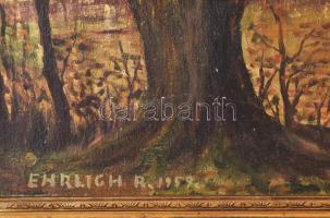 Ehrlich R jelzéssel: Őszi erdő. Olaj, vászon, sérült. Dekoratív, sérült fakeretben. 50x70 cm