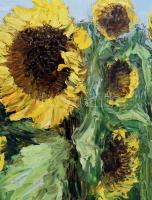 Olvashatatlan jelzéssel: Napraforgók. Olaj, farost. Fakeretben. 60x50 cm