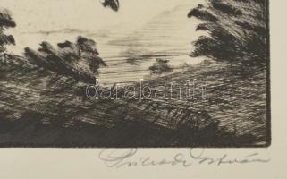 Prihoda István (1891-1956): Libikóka. rézkarc, papír. Jelzett Üvegezett biedermayer cseresznyefa fak...