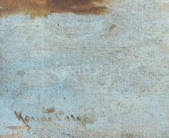 Kassai Varga jelzéssel: Gólya. Olaj, vászon, sérült. 37,5x48 cm