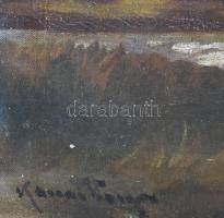 Kassai Varga jelzéssel: Gólya a vízparton. Olaj, vászon, javított, kissé sérült. 37,5x48 cm