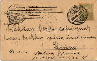 1905 Lady art postcard with children (fl)