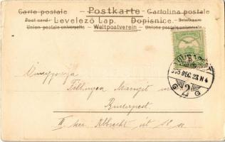 1905 Boldog karácsony ünnepeket / Art Nouveau lady with Christmas greeting. litho s: Kieszkow (kis s...