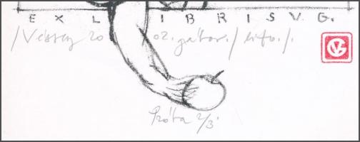 Véssey Gábor (1948-): Ex libris V.G., 2002. Litográfia, papír, jelzett, próbanyomat 2/3 számozással,...