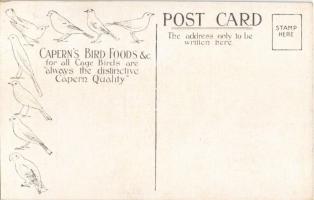 Parrot. Feed on Capern's Parrot Mixture. Capern's Perfectly Clean Bird Foods advertisement...